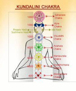 Chakras Kundalini